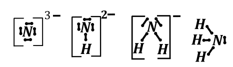 azotowce - rysunek-1