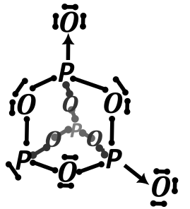 azotowce - rysunek-19