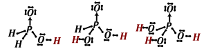 azotowce - rysunek-20