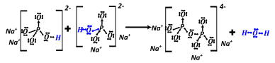 azotowce - rysunek-23