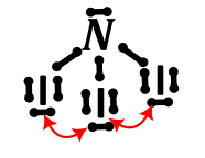 azotowce - rysunek-4