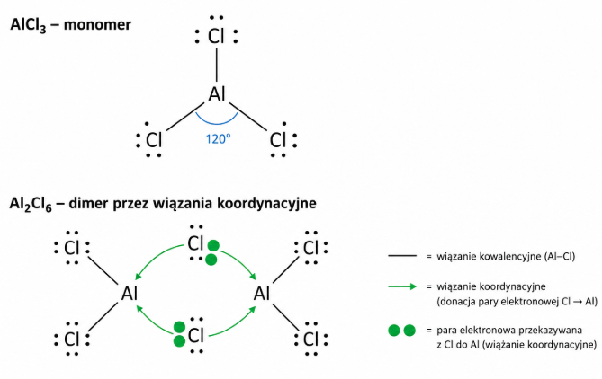 borowce - rysunek-3