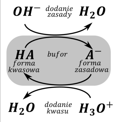 bufory - rysunek-1