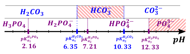 bufory - rysunek-10