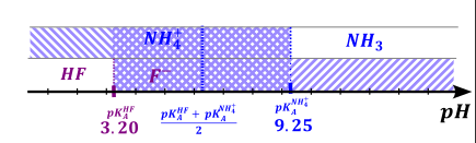 bufory - rysunek-11
