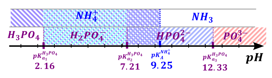 bufory - rysunek-12