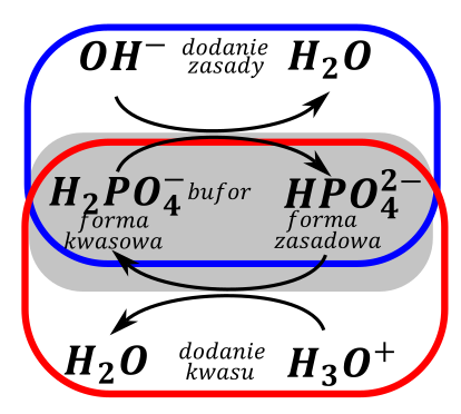 bufory - rysunek-2