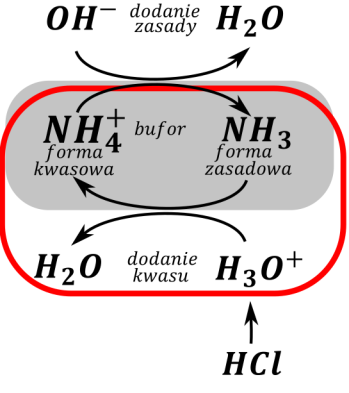 bufory - rysunek-4
