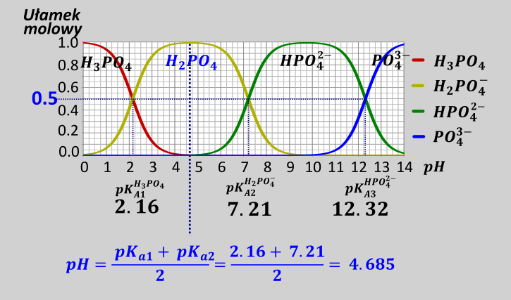 bufory - rysunek-6