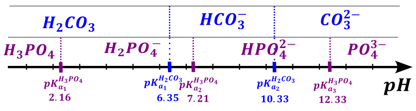 bufory - rysunek-8