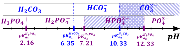 bufory - rysunek-9
