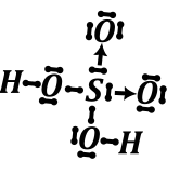 tlenowce - rysunek-10