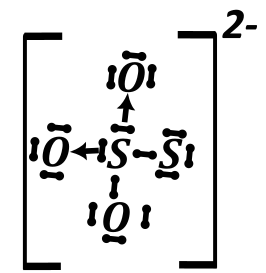 tlenowce - rysunek-14