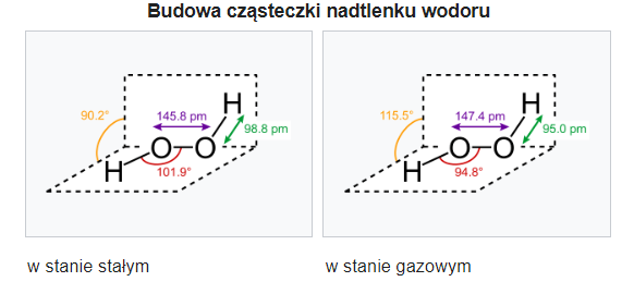 tlenowce - rysunek-3