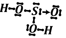 tlenowce - rysunek-8