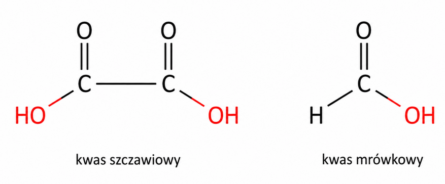 weglowce - rysunek-11
