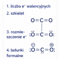 proceduraLewisa